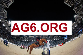 布劳恩：威少会打出三双然后顶替我的角色与位置 这压力助我成长